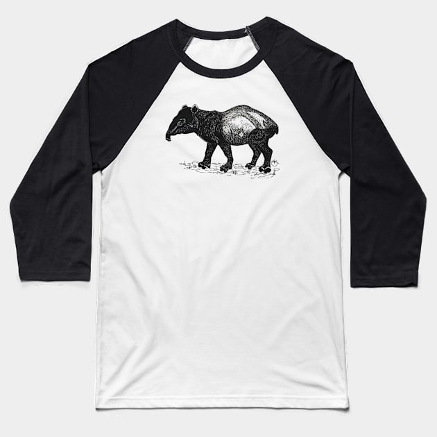 Nosey Tapir sniffing around Baseball T-Shirt by angipangi7